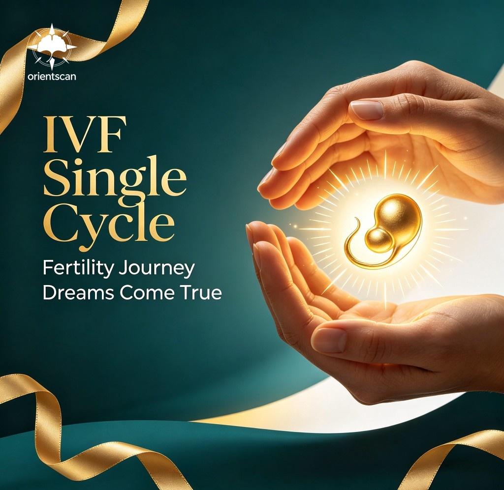 IVF Single Cycle